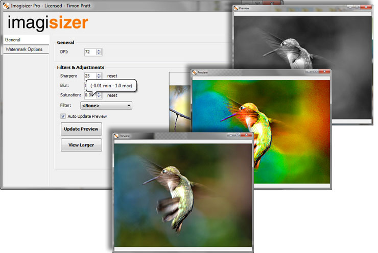 Multiple preview windows for comparison of photographic image adjusmtents and filters such as sharpness, blur and saturation